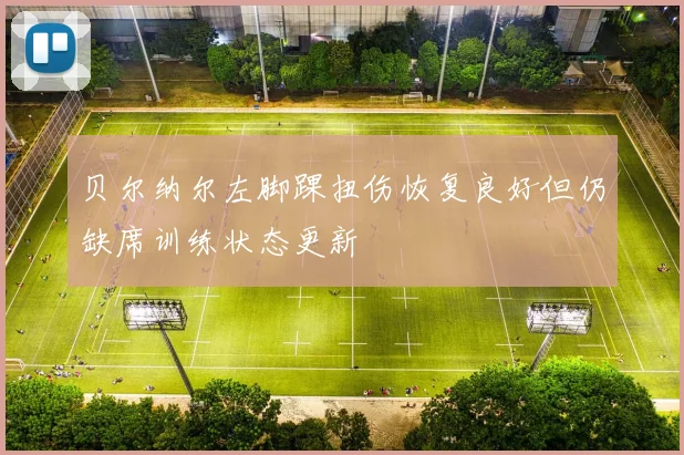 贝尔纳尔左脚踝扭伤恢复良好但仍缺席训练状态更新