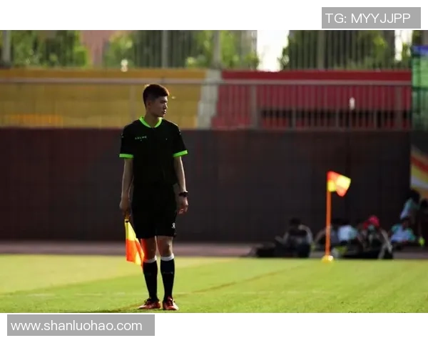 足球边裁职责与负责区域的全面解析与重要性探讨