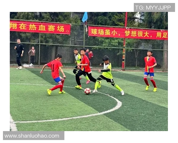 送别足球的岁月与梦想在绿茵场上交织的青春回忆