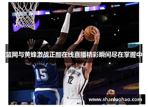 篮网与黄蜂激战正酣在线直播精彩瞬间尽在掌握中